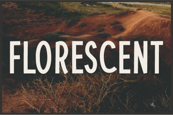 Florescent: A Designer’s Honest Review