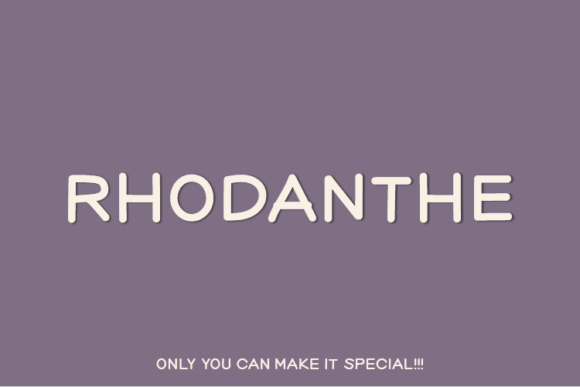 Rhodanthe Font Review: A Unique Sans Serif for Web Design